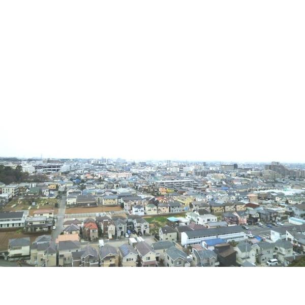 ライオンズヒルズ新松戸 眺望