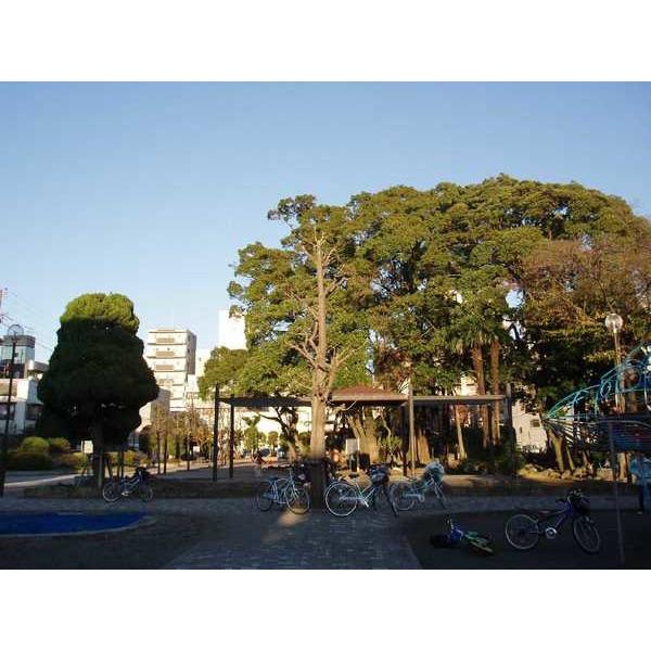 公園