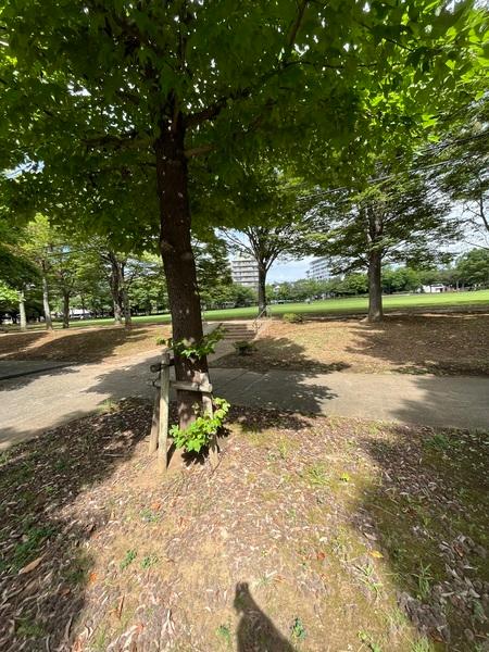 公園