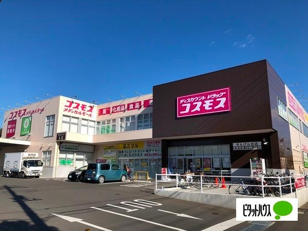 ドラックストア