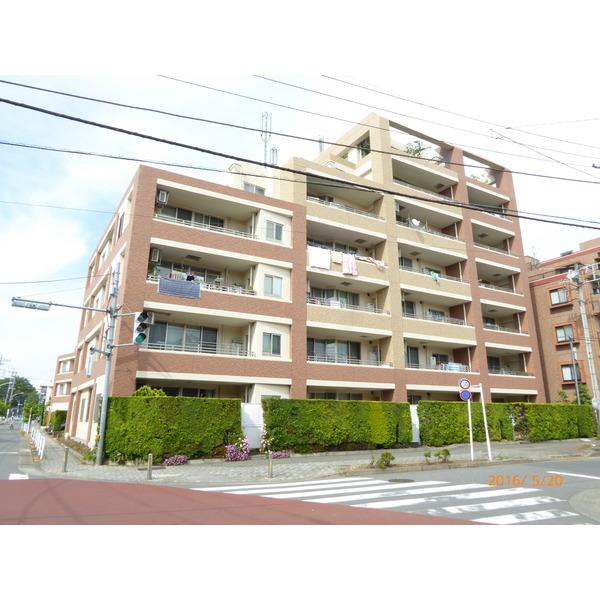 前面道路につき陽当り良好