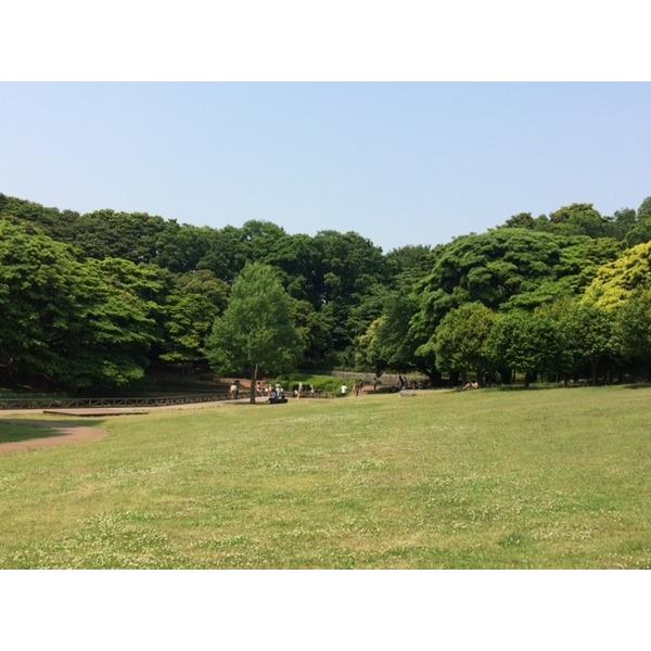 公園