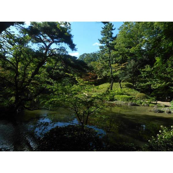 公園