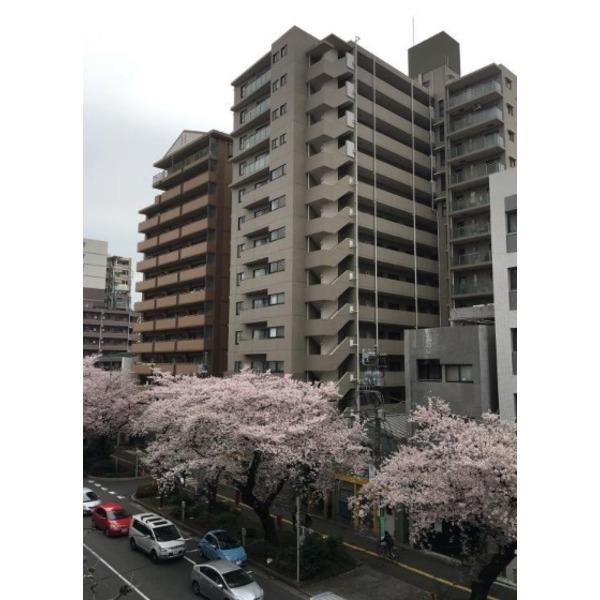 ロイヤルステーション中村橋 外観