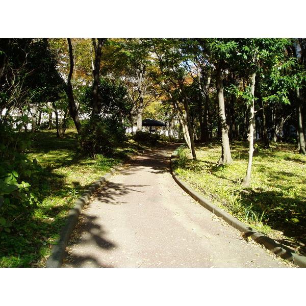 サンライトパストラル壱番街Ａ棟 共有部分