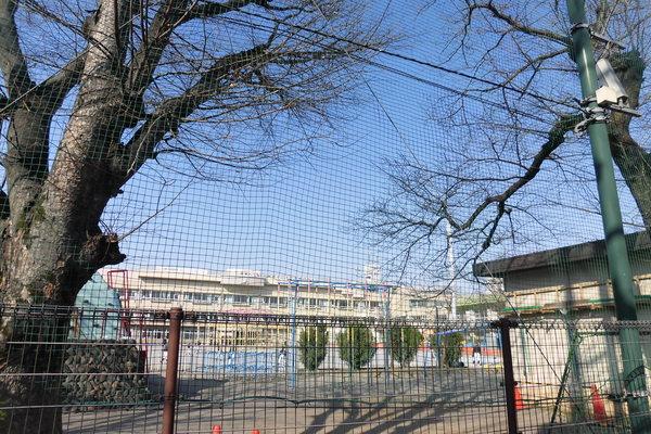 小学校