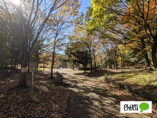公園