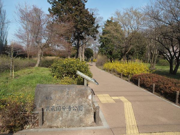 公園