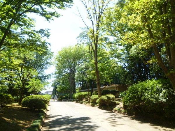 公園