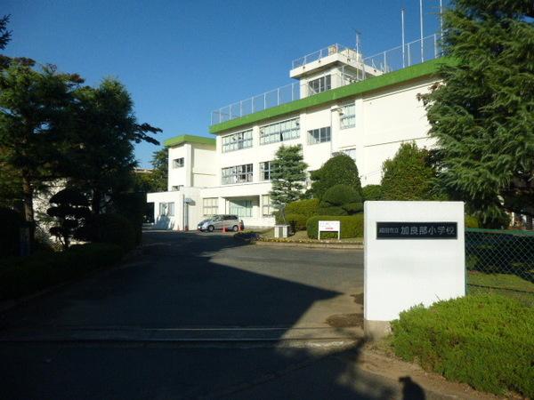 小学校