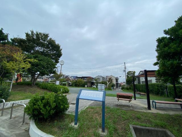 公園