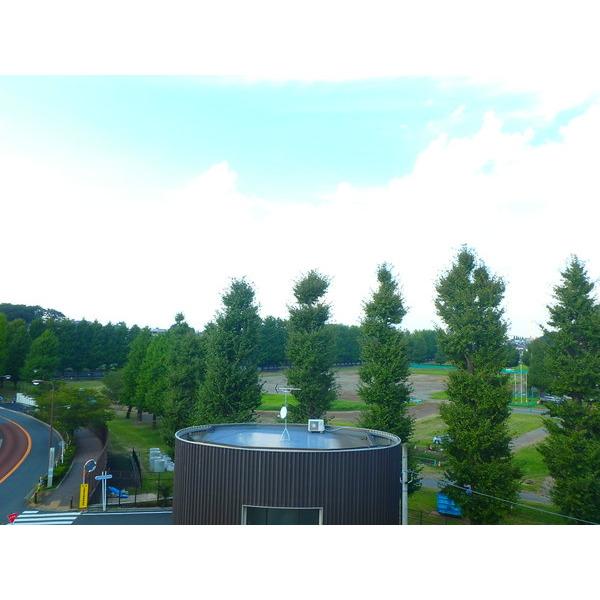 公園