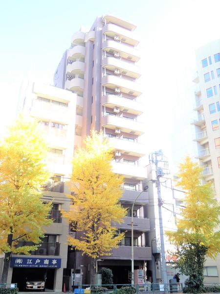 菱和パレス音羽 外観