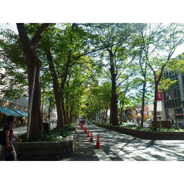 公園