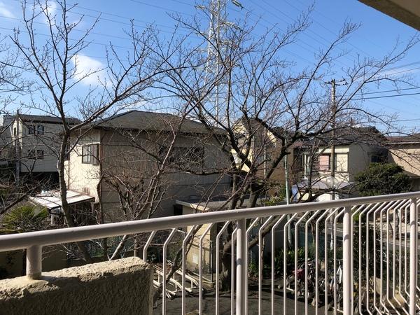 市川ハイツＡ棟 眺望