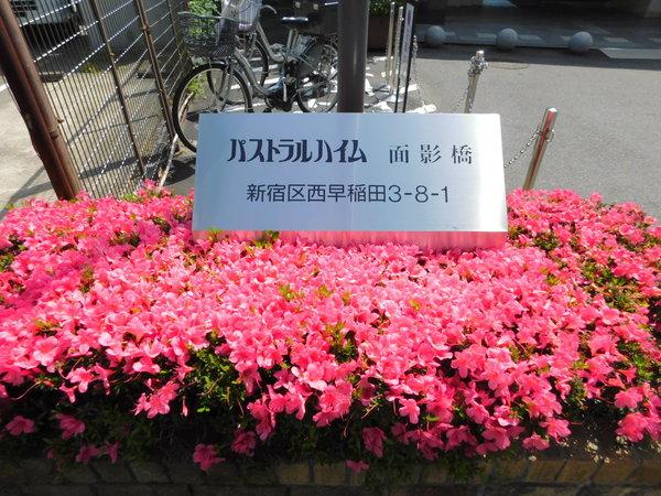 パストラルハイム面影橋 その他