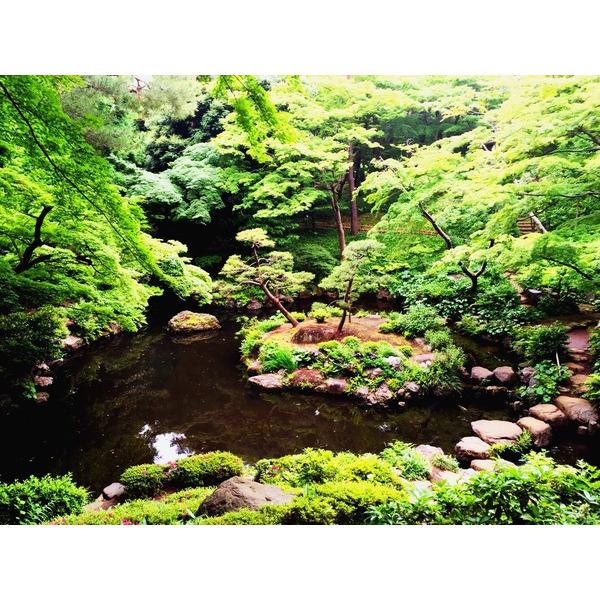 公園