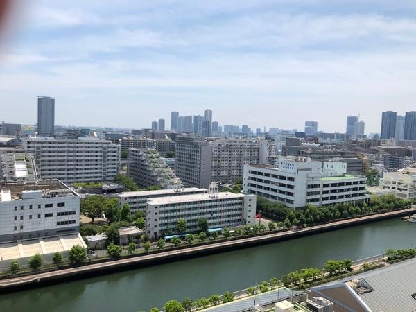 シティテラス東陽町 眺望