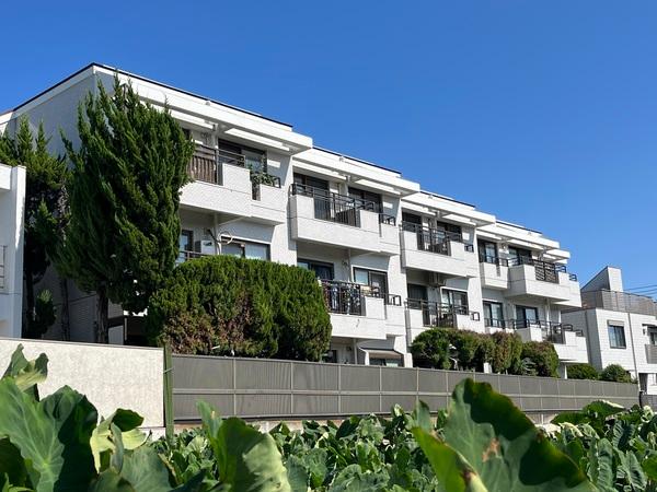 藤和世田谷桜丘コープⅢ 外観