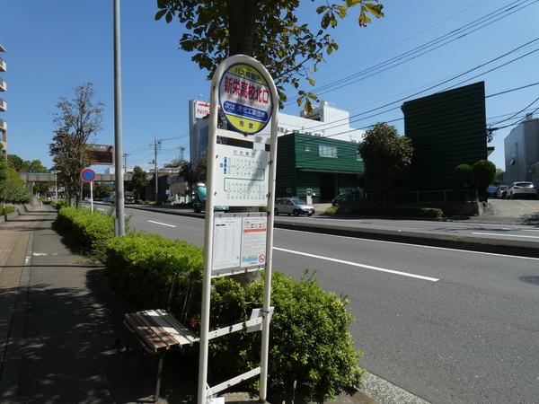 仲町台パークヒルズ５号棟 物件画像