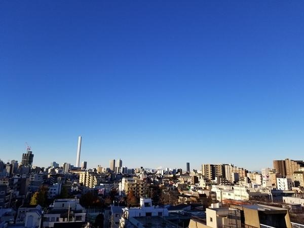日神パレステージ板橋滝野川 眺望