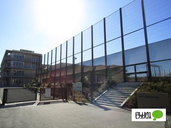 小学校