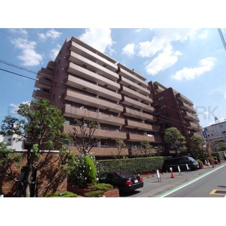 総戸数146戸