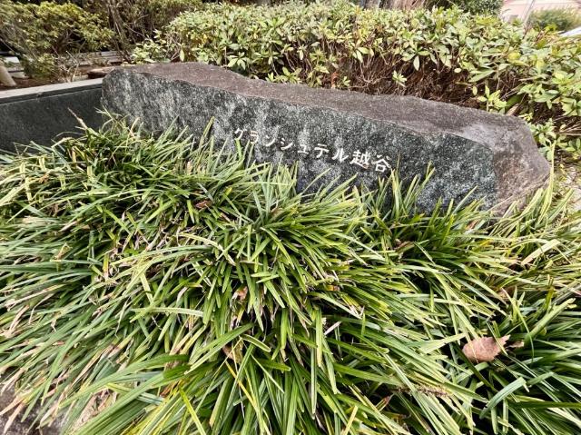 グランシュテル越谷 共有部分