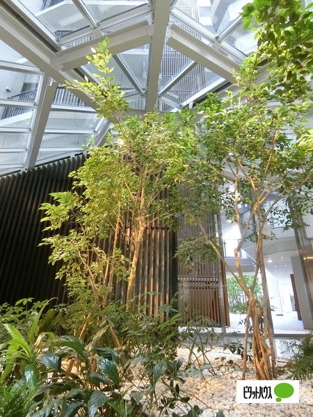シティテラス加賀 共有部分