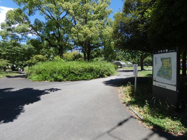 公園