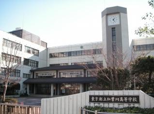 高校
