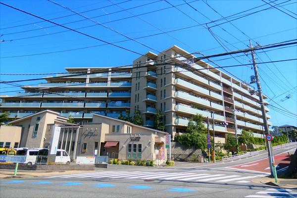 2016年築、総戸数241戸