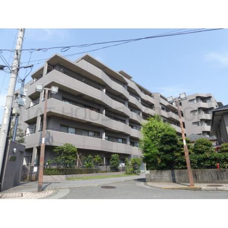 バルコニー全面建物なく日当たり良好です。