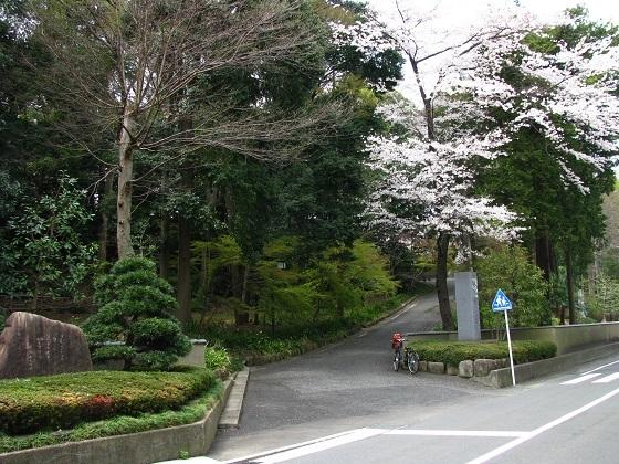 公園