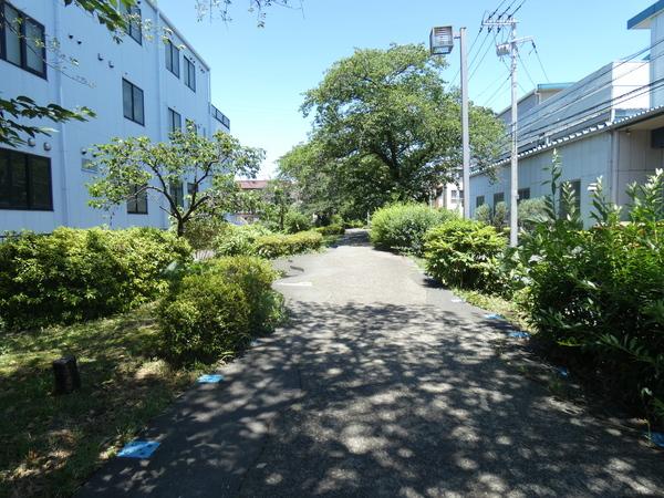 公園