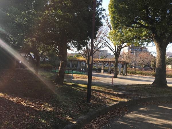 公園