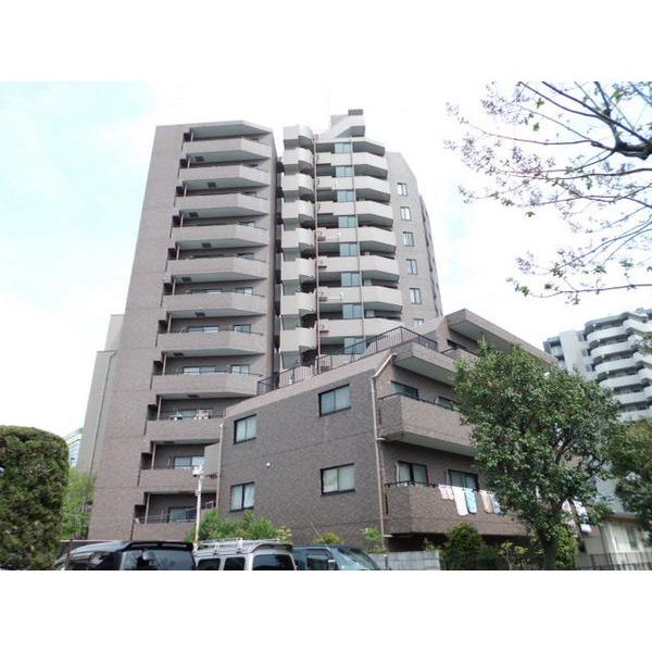 大通り沿いでお店がたくさんあります。ペッ