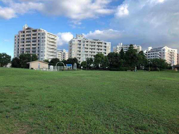 公園