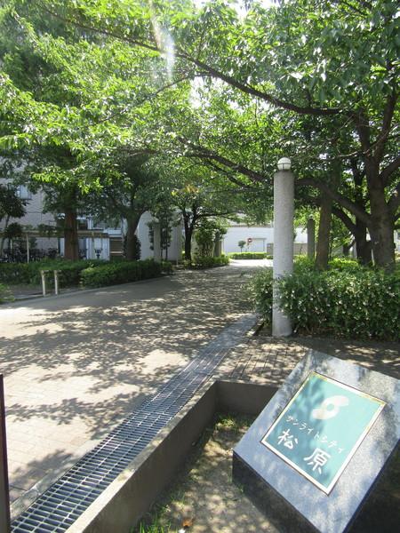 サンライトシティ松原壱番館 共有部分