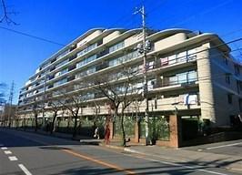 サンパセオ新柏アネックス 外観