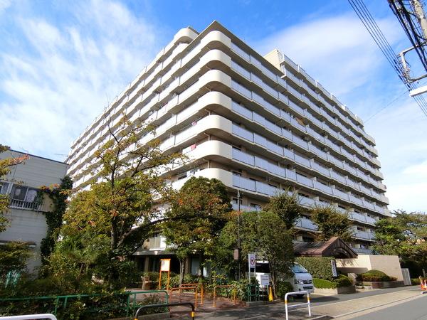 南東側より撮影