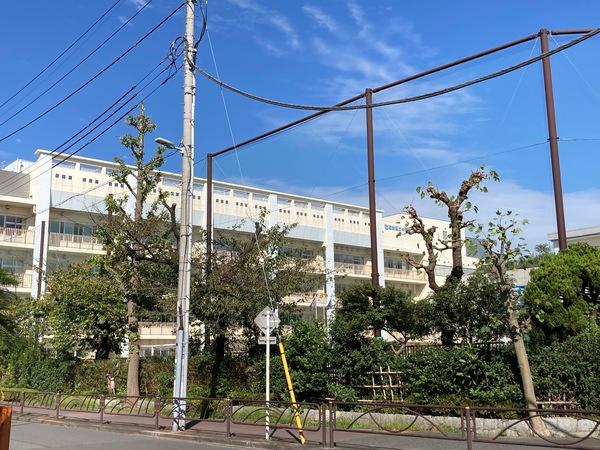小学校