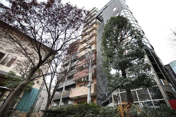 SRC造・12階建・総戸数45戸