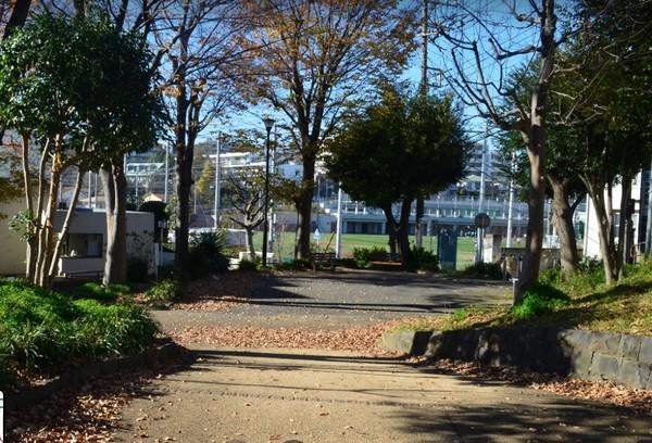 公園
