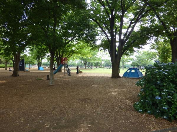 公園