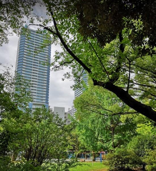 公園