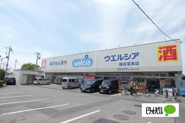 ドラックストア