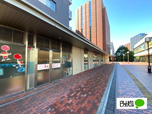 幼稚園、保育園