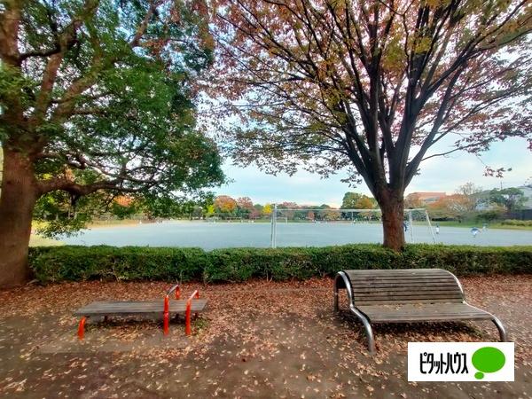 公園