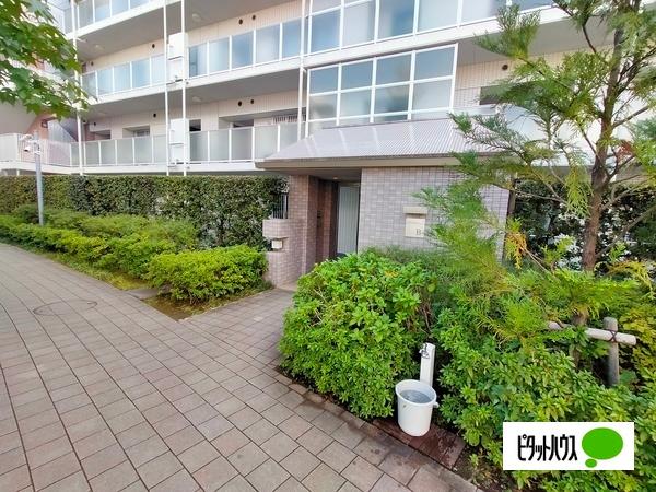 THE CENTER HOUSE B棟　 物件画像